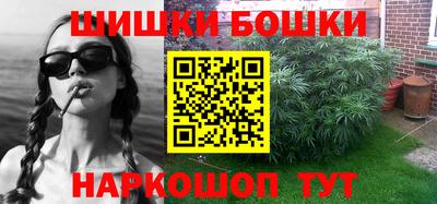 индика Ливны