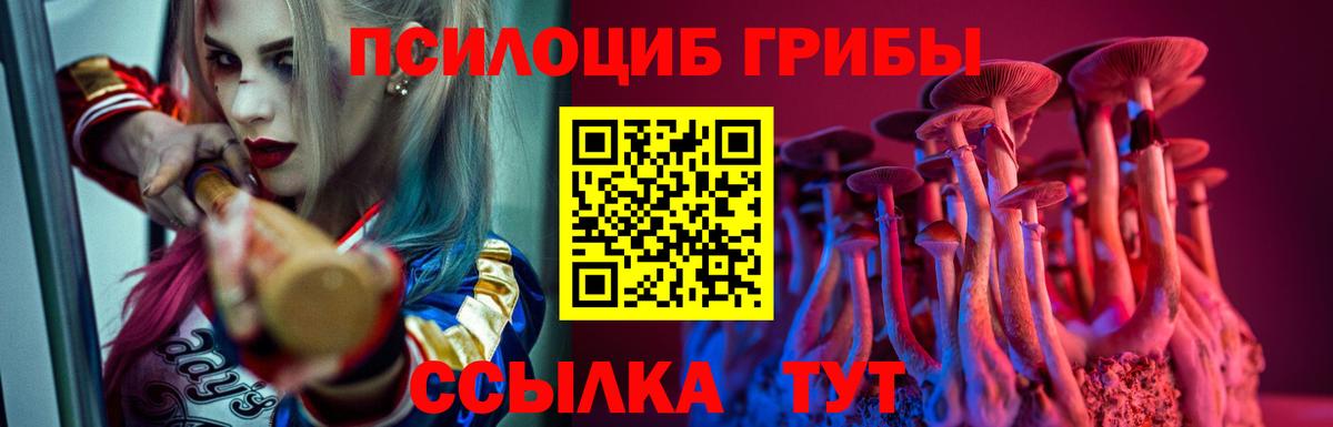 Псилоцибиновые грибы GOLDEN TEACHER  Вход с VPN  Туймазы 